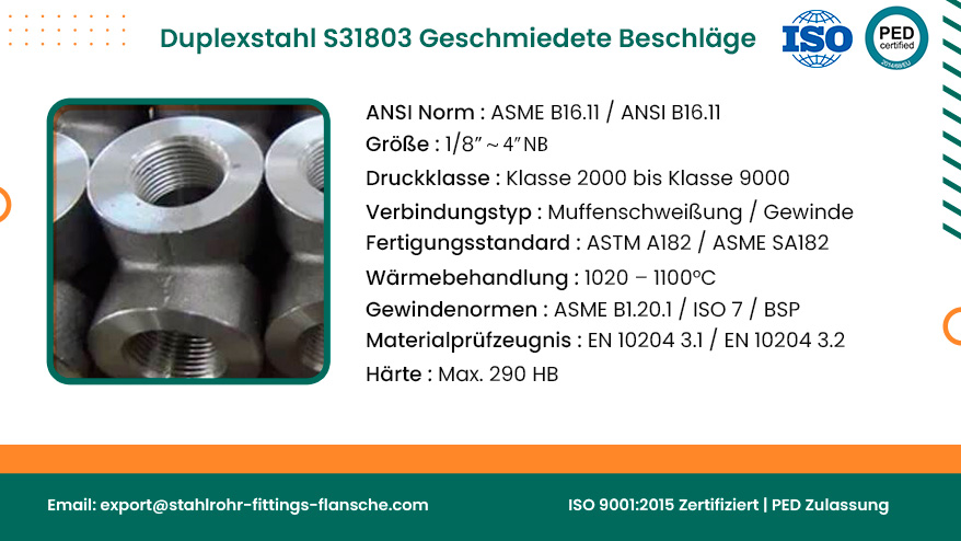 Duplexstahl S31803 Geschmiedete Beschläge