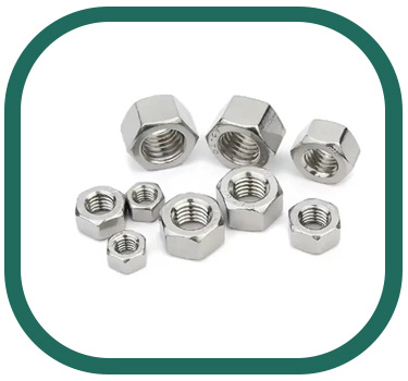 UNS N10276 Sechskantmutter
